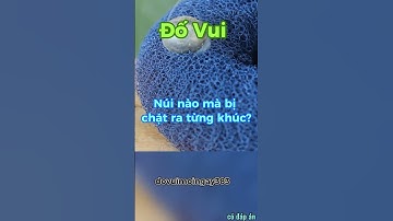 Câu đố hôm nay  #dovui #dovuimoingay #caudohay #caudothongminh