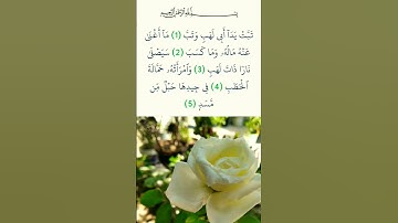 سورة المسد ❤️ القارئ أحمد العجمي