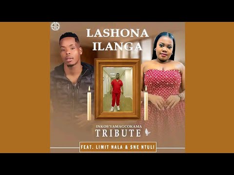 Lashona ilanga (Inkos' Yamangcokama Tribute) - Limit Nala FEAT. Sne Ntuli
