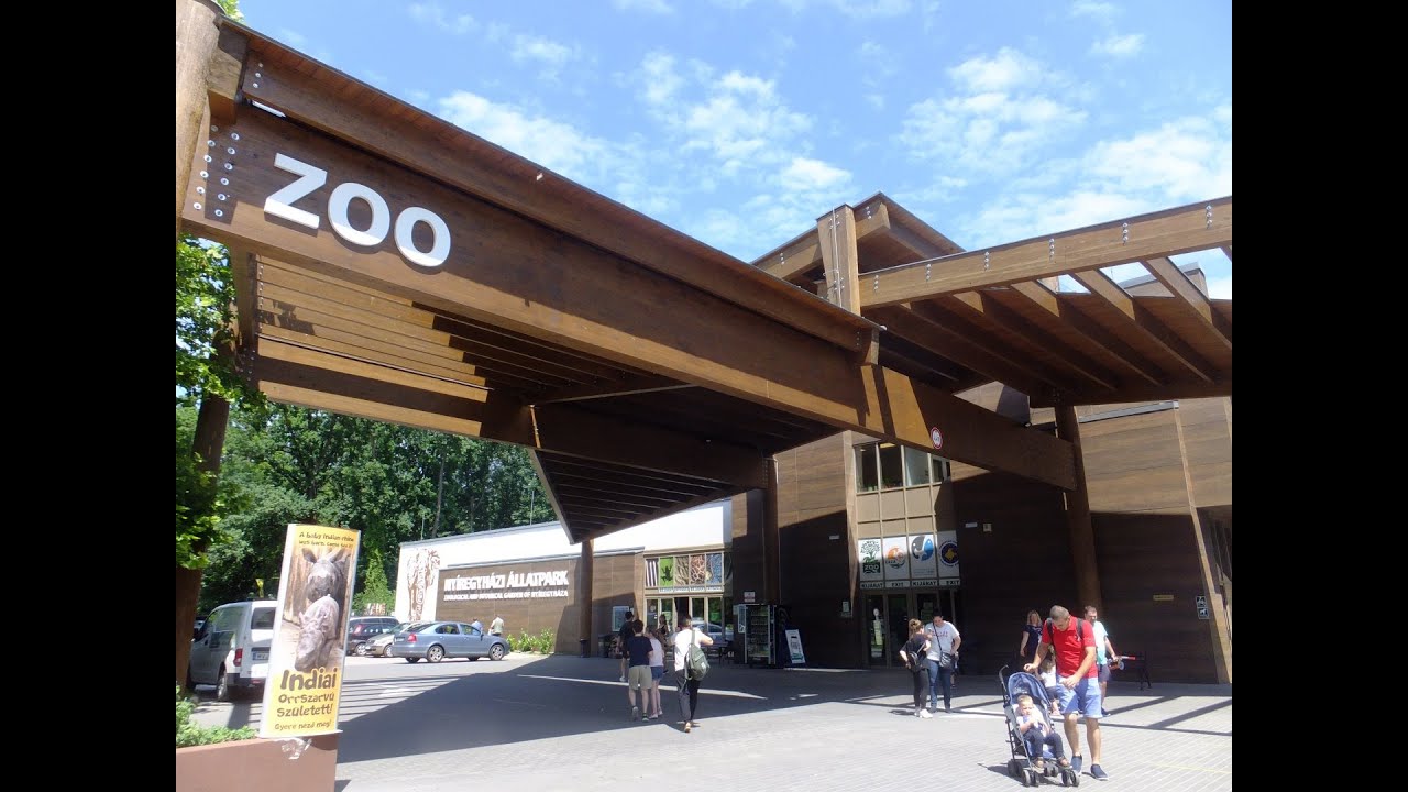 Nyíregyháza Sóstó ZOO - Must Visit in Hungary!