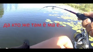Кто то влетел на ультралайт?! ЩУКА? Или Конь?
