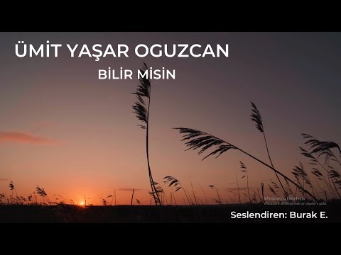 Bilir Misin - Şiir (Ümit Yaşar Oğuzcan)