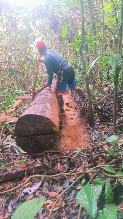 without the help of this tool the wood cannot be turned #woodscraft #chainsawman#chainsaw