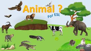 Trò chơi PowerPoint Đoán bóng con vật - Tải miễn phí screenshot 5