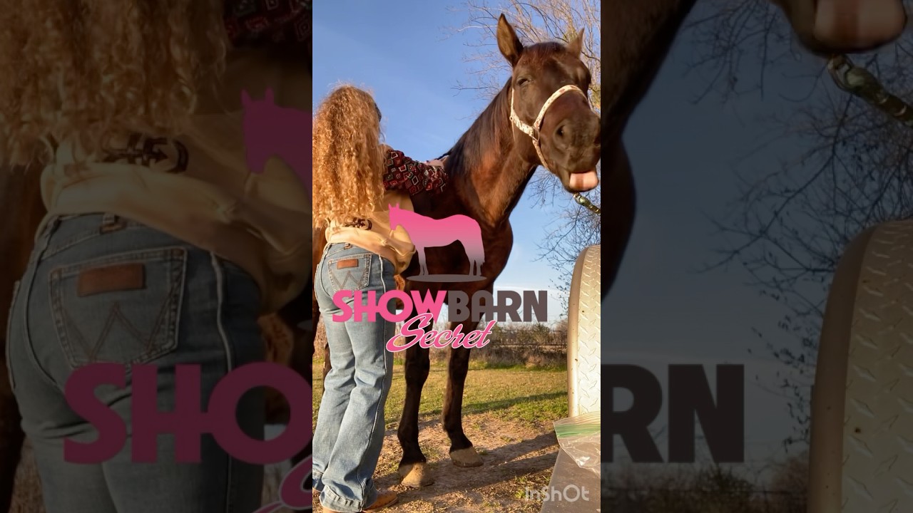 Their products are the best! 