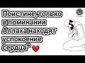 ✔️Исцеление Кораном Powerful Ruqyah FOR PEACE And Remove Depression Anxiety  HD