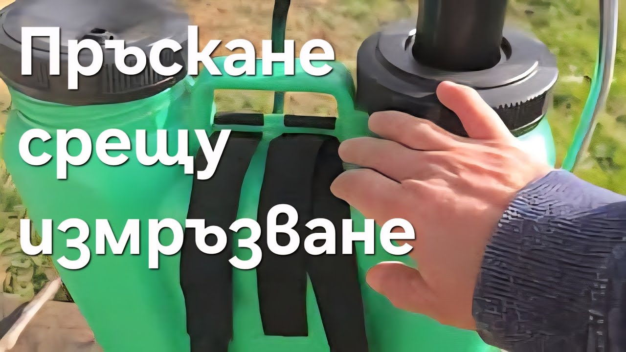 Зимна грижа за градината 🌿❄️ | Овошки, парник и подготовка за пролетта