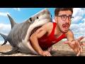 قرش في المسبح Sharks And Minnows 
