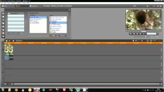 How To Make a Reverse Motion Effect - Pinnacle Studio 15 Ultimate Collection HD