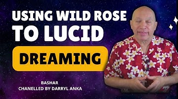 Bashar Channeling 2024 -  Wild Roses and Lucid Dreams: Bashar on Creativity and Spiritual Connectio