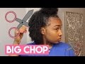 MY BIG CHOP ▸  21 Months Post Relaxer