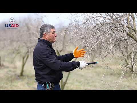 Video: Kontur təsərrüfatının çatışmazlıqları nələrdir?