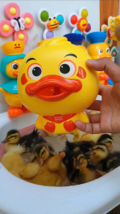 wow..!! Bathtub Party Upgrade! Watch the it's just toys duck waterwheel bath #duck #shorts