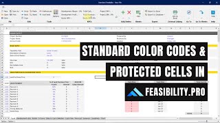 05 Understanding Color Codes and Cells | Standard Feasibility Module
