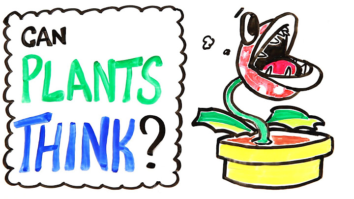 Can Plants Think?