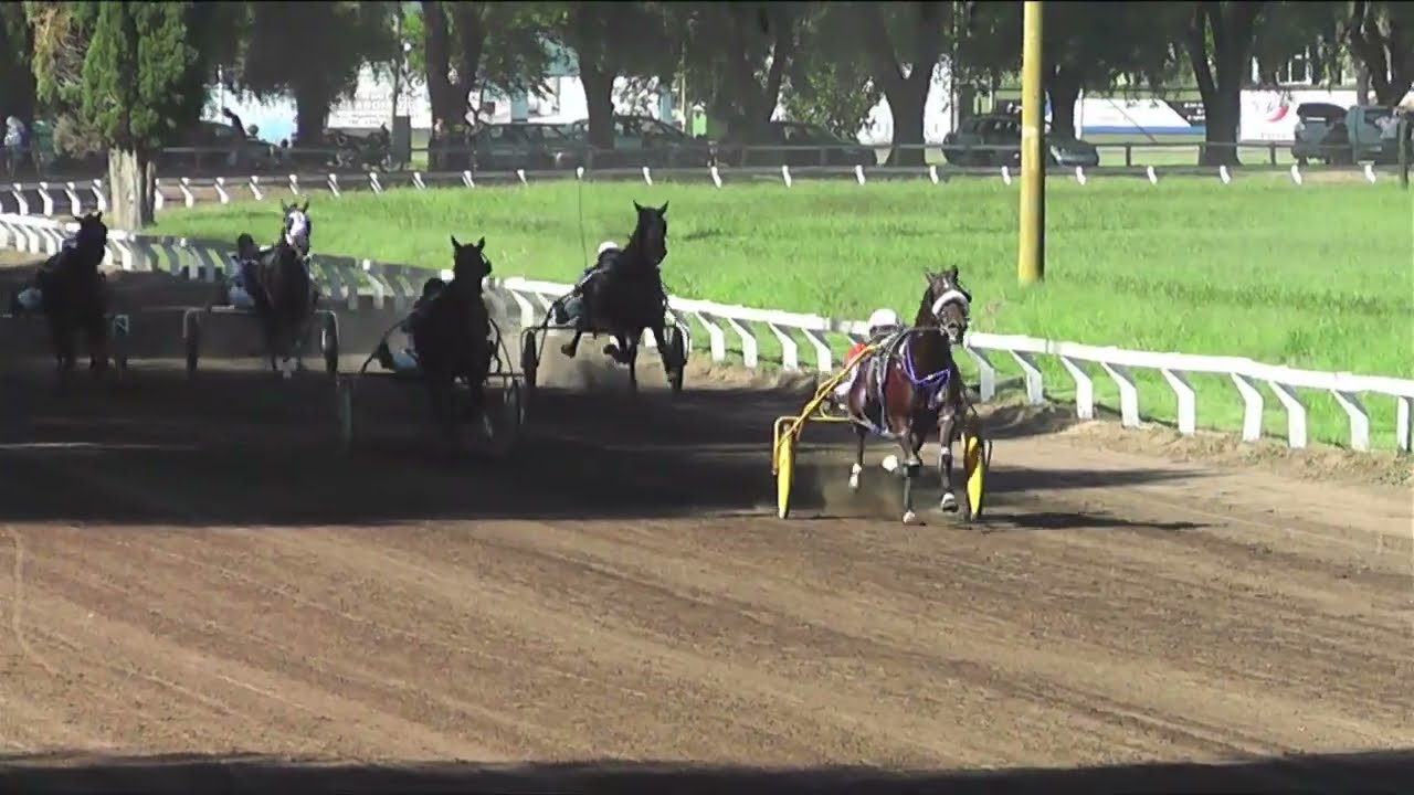 5ª REUNION - 6ª CARRERA - TRELPON URGENT LORD