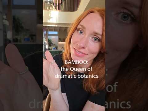 Bamboo The Queen Of Dramatic Botanics