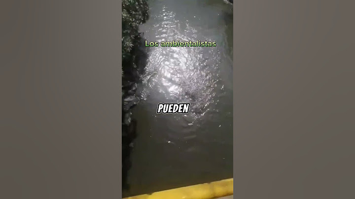 ¿Qué es la contaminación del agua y en qué nos afecta?