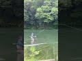 #flyfishing #フライフィッシング初心者 #dryfly #flytying #nature #outdoor #troutaccuracy #アウトドア