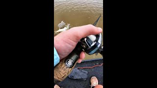 Fish Comes Out Of The Water To Crush My Lure Insane Bite