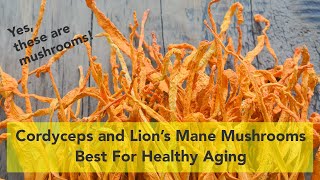 Why Cordyceps and Lion's Mane Mushrooms Are The Best For Healthy Aging by Modern Aging - Holistic Health & Wellness After 50 889 views 1 year ago 15 minutes