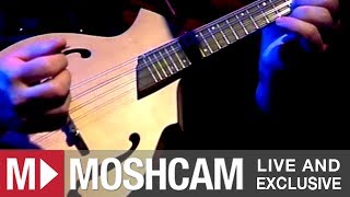 The Decemberists - You&#39;ll Not Feel The Drowning | Live in Sydney | Moshcam