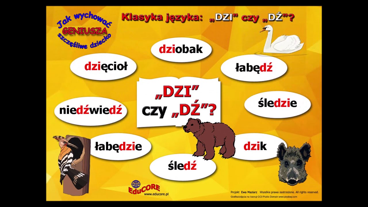 Roześmiana Logopedia - "DZI" czy "DŹ" jak dzięcioł - Nauka to zabawa