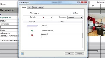 FastTrack Schedule 10 Enhancing Schedules In Print Preview Mac HD