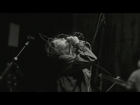 Собака - Билли (Live in hi-real production)