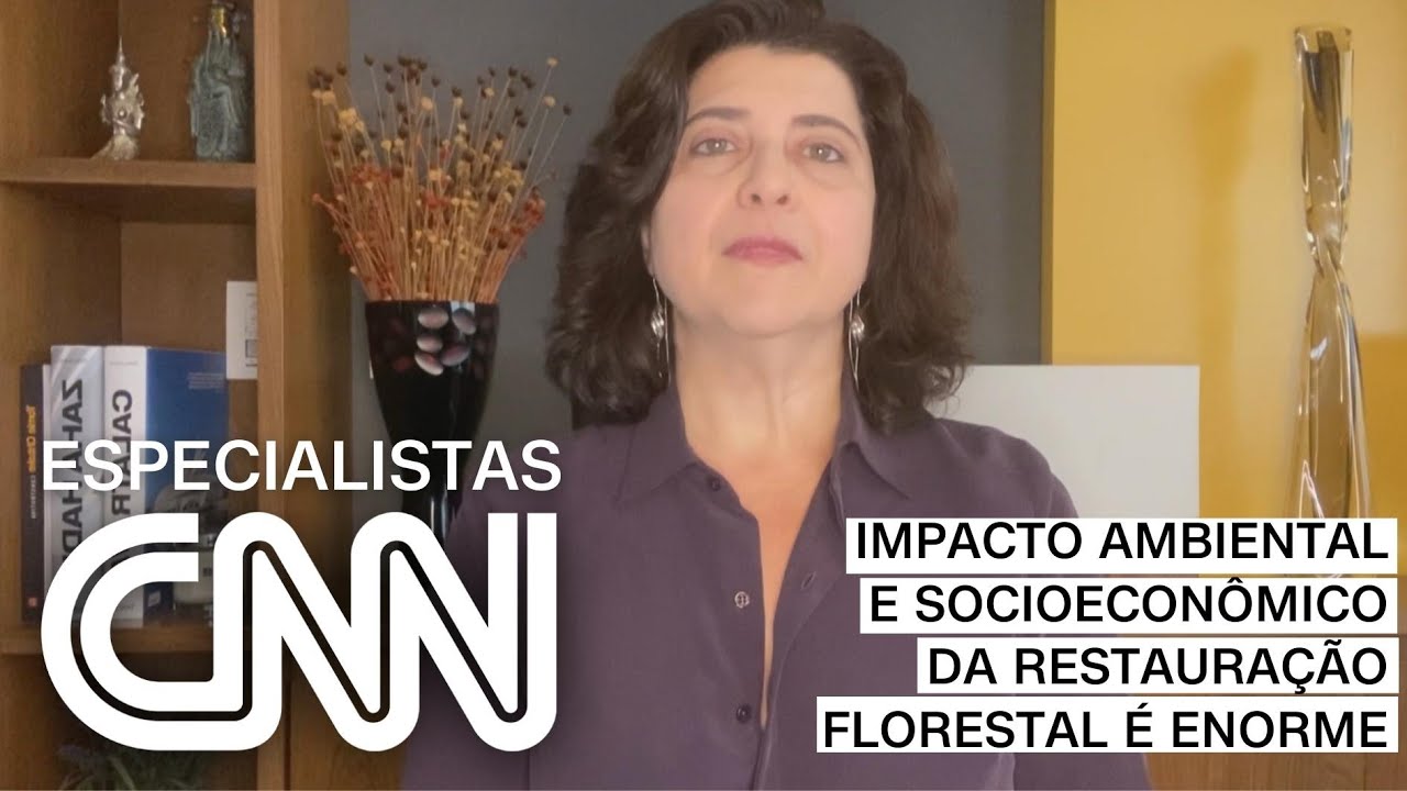 Bechara: Impacto ambiental e socioeconômico da restauração florestal é enorme | ESPECIALISTA CNN