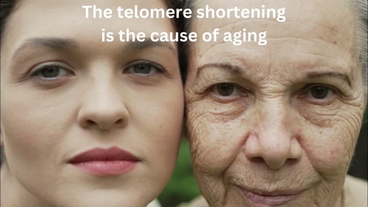 Why Do We Age The Science Of Aging YouTube why-do-we-age-the-science-of-aging-youtube