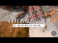 【１２星座後半】11月あなたの運勢を生リーディング🌕✨