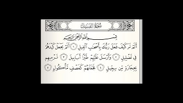 surah Al-fil || Sheikh Maher Al Muqaily || سورة الفيل