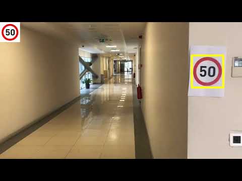 Real Time Traffic Sign Detection