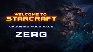 Choosing your Race Zerg  - Welcome to Starcraft #1