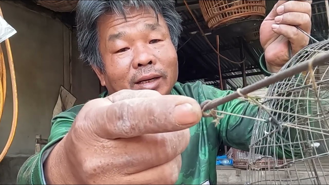 นกเขาใหญ่ตาฝั่งพอง: แนวทางการซ่อมเพนียดนกเขาใหญ่ ที่สปริงล้าหรืออ่อน