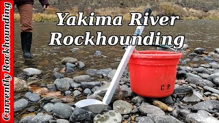 Yakima River Rockhounding // Agates, Jasper, and Petrified Wood!