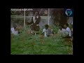 محمود تاور القمرية فندق قصر الصداقة 1986