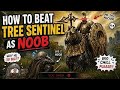 How to beat tree sentinal as a noob