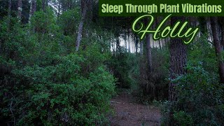 Holly Tree Secret Sounds for Deep Sleep: 3 Hours, Black Screen, No Ads