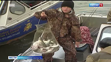 Какая рыба в Астраханской области