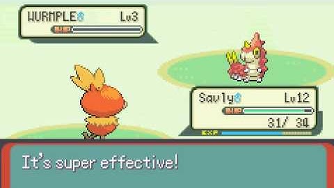 pokemon torchic only run 2