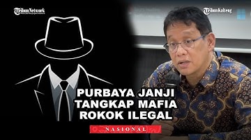 Purbaya Janji Kejar dan Tangkap Mafia Penyelundupan Rokok Ilegal: “Satu per Satu Saya Akan Bereskan”