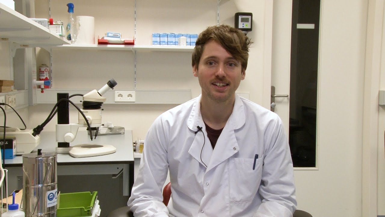 YouTube image