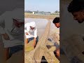 Mud Wall Mastery: How Farmers Build Waterproof Ridges That Outlast Rains