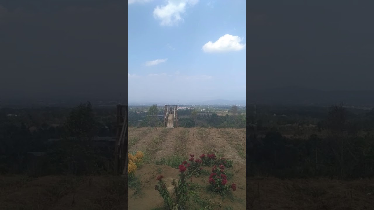  Taman  bunga  celosia  gunung Keling Kuningan  Jawa  barat  