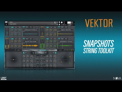 Vektor // String Toolkit Snapshots // Unique String-Based Cinematic Instrument // Kontakt