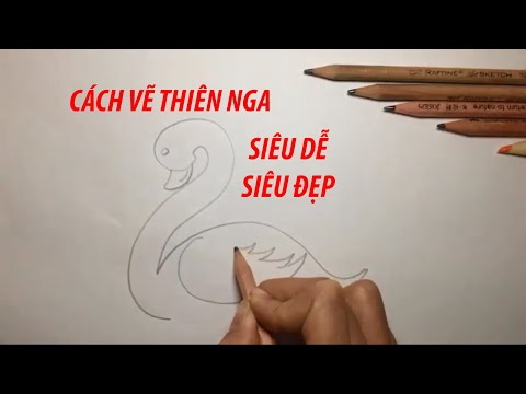 Video: Cách Vẽ Thiên Nga Bằng Bút Chì