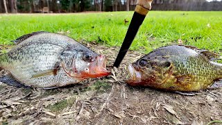 Surprising Warmouth Vs Crappie Taste Test! (Catch And Cook)