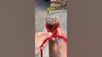 Rope skills pig